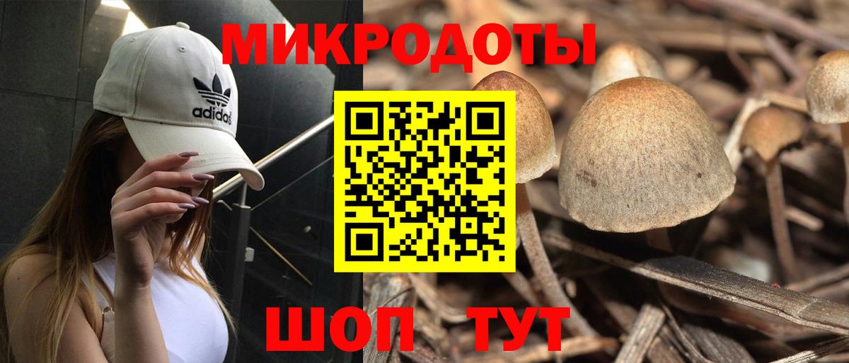Ишим  Галлюциногенные грибы мухоморы  Вход с VPN 